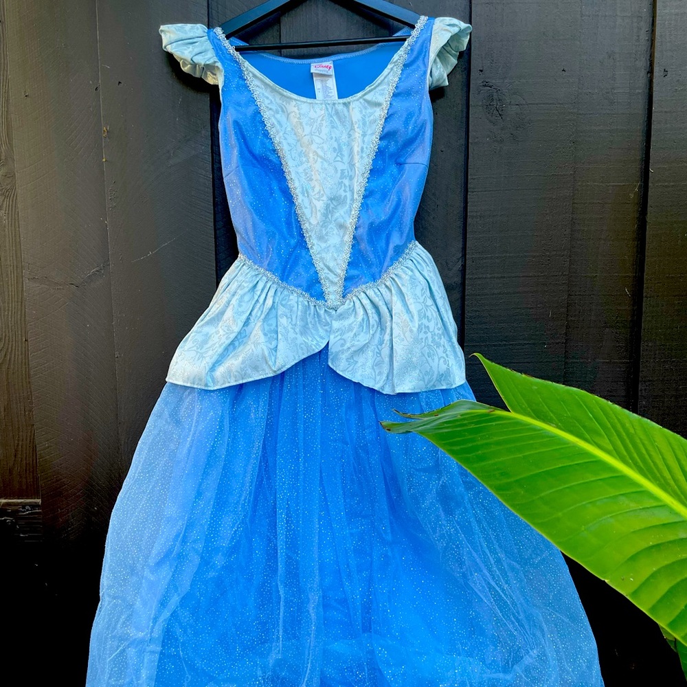 Adult small Cinderella costume dress perfect for Halloween Disney Princess